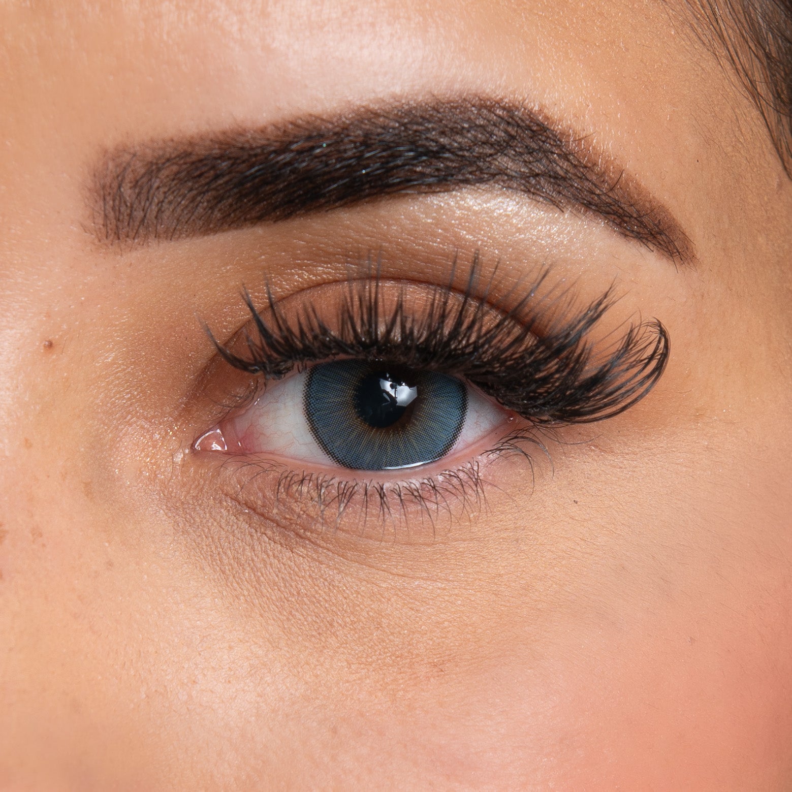 Avec lentilles