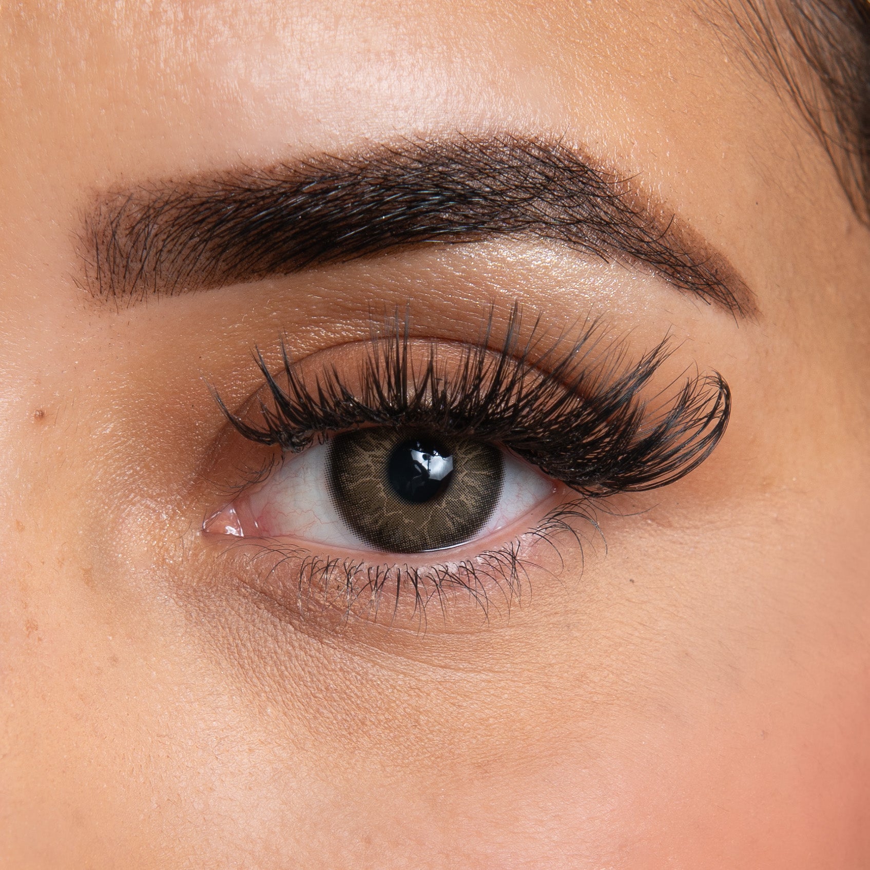Avec lentilles